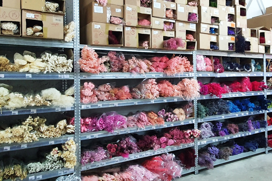 Fleurs s�ch�es La fournith�que Tours