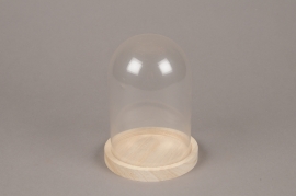 Glass dome with wooden tray D14cm H21cm
