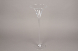 B448W3 Glass martini vase D17cm H50cm