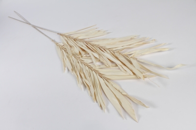 GO-000006 Paquet de 2 feuilles en raphia s�ch� blanchi H110cm