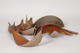 HM-000032 Pack of 10 natural dried coconut shells H27cm