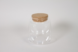 I0-000126 Terrarium en verre transparent D15cm H17cm