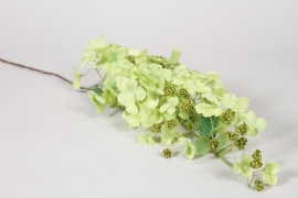 JP-000113 Hortensia artificiel vert H107cm