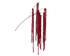 KI-000626 Artificial red weeping willow branch H80cm