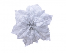 KI-000634 Poinsettia artificiel sur clip en velours blanc D26cm