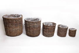 LE-000184 Set of 5 brown wicker basket planters