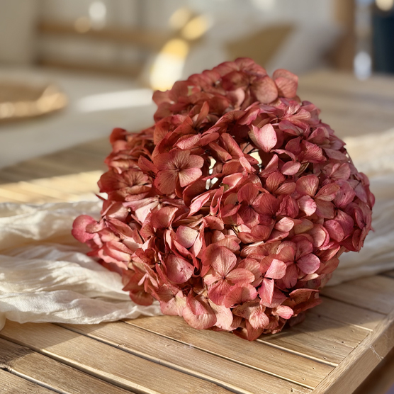 lecomptoir.com pour les ateliers floraux 