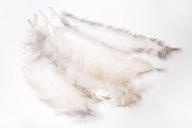 LW-000004 Natural ostrich feather H64cm