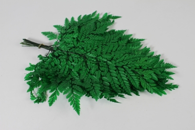 LW-000153 Foug�re am�ricaine stabilis�e verte H39cm
