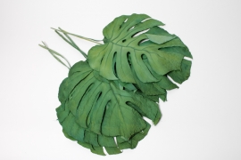LW-000156 Green stabilized Monstera H54cm