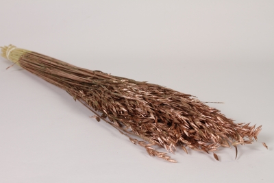 LW-000165 Dried oats copper height 60cm