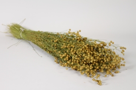 LW-000177 Natural dried flax H50cm