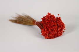 LW-000179 Dried orange glixia H30cm 