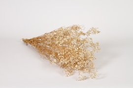 LW-000182 Gypsophile pr&eacute;serv&eacute; cr&egrave;me H55cm