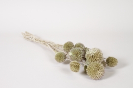 LW-000190 Dried natural echinops H45cm
