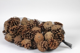 LW-000194 Bag of natural pine cones 