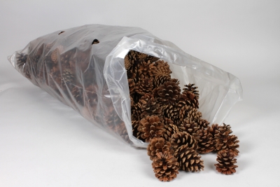 LW-000195 Sac de 5 kg pommes de pin naturel