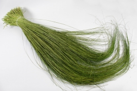 MI-000003 Natural dried tenax grass D25cm H125cm