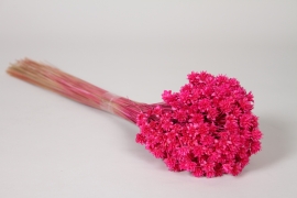MI-000082 Dried pink hill flowers H50cm