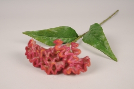 n137di Célosie artificiel rose foncé H62cm