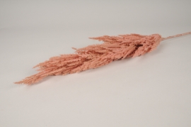 n150di Pampa artificielle saumon H116cm