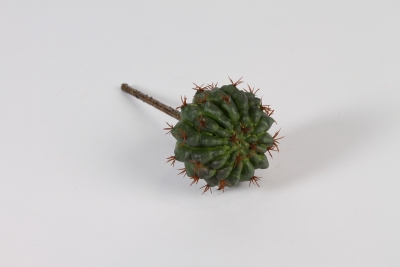 n182di Green artificial cactus D6cm H18.5cm