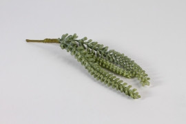 n183di Succulente artificielle verte L38cm