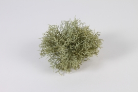 n184di Buisson de corail artificiel gris vert D15cm