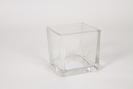 NH-000210 Clear cube glass vase 10x10cm H10cm