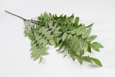 NN-000483 Acacia artificiel vert H125cm