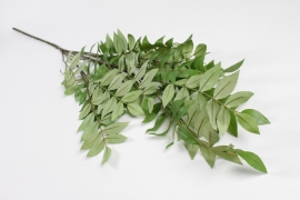 NN-000483 Green artificial acacia H125cm