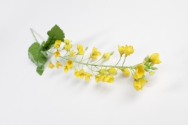 NN-000487 Yellow artificial Brassica H70cm
