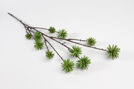 NN-000491 Green artificial camptotheca acuminata H117cm