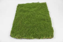 Green artificial moss 100x100cm