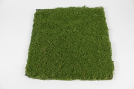NN-000494 Green artificial moss 50x50cm