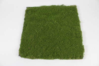 NN-000494 Plaque de mousse artificielle verte 50x50cm