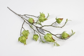 NN-000495 Green artificial ground cherries H75cm