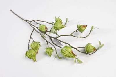 NN-000495 Physalis artificiel vert H75cm