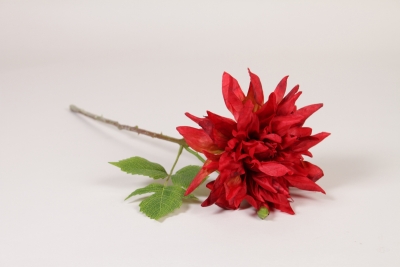 NN-000537 Artificial dahlia burgundy flower H40cm