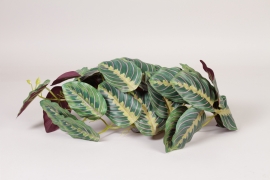 NN-000541 Piquet maranta jaune vert artificiel H58cm