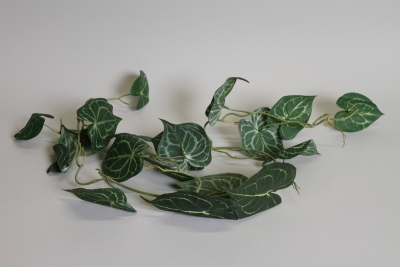 NN-000548 Scindapsus retombant artificiel vert L109cm