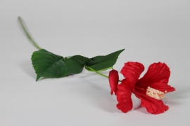 NN-000559 Hibiscus artificiel rouge H73cm