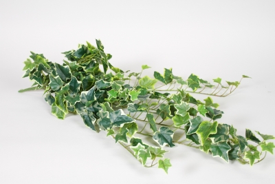 NN-000561 Piquet de lierre artificiel panach� vert et blanc H86cm
