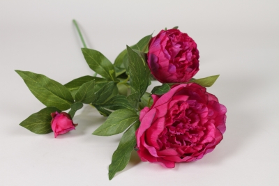 NN-000570 Pivoine spray artificielle pourpre H70cm