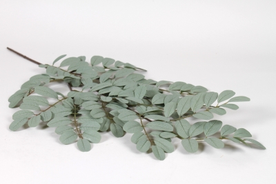 NN-000573 Light grey artificial black locust foliage H70cm