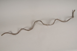 ov81wg White wash rattan branch H117cm