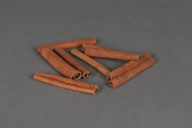 ox21lw Bag of cinnamon sticks H8cm