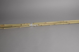 A022DN Pack of 10 natural bamboo stakes H180cm