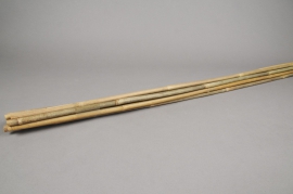 A020DN Pack of 10 natural bamboo stakes height 120cm