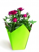 A246QX Pack of 25 green waterproof planters 8.5cm x 8.5cm H17cm